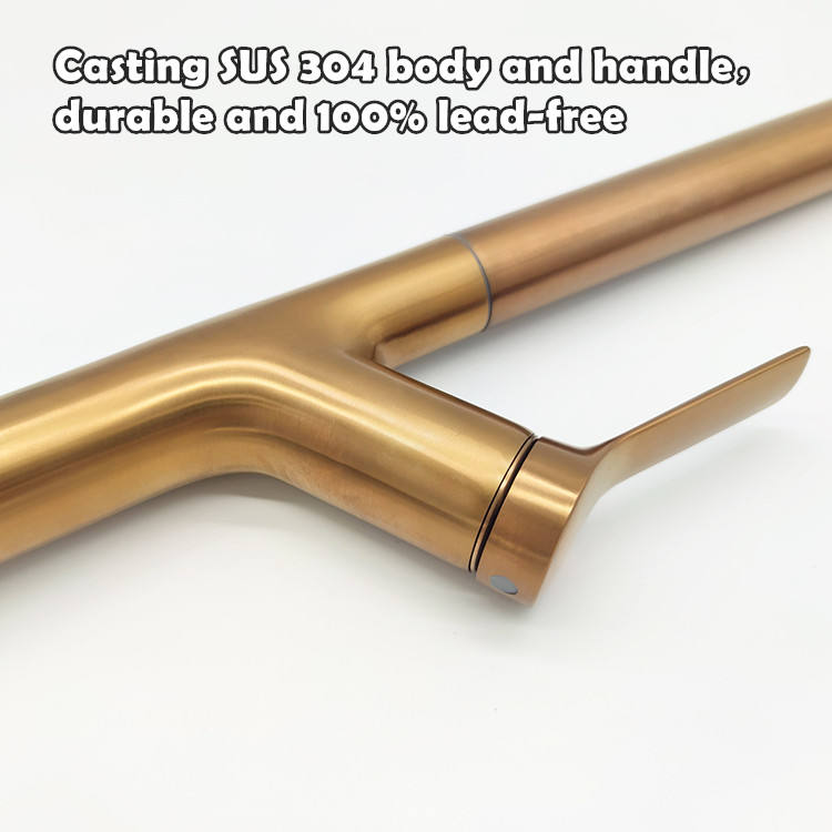 pfister faucet spray head