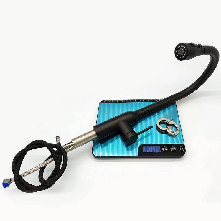 tall kitchen faucet with sprayer