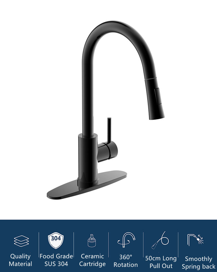 kitchen faucet separate sprayer