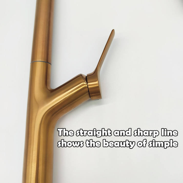 pfister faucet sprayer