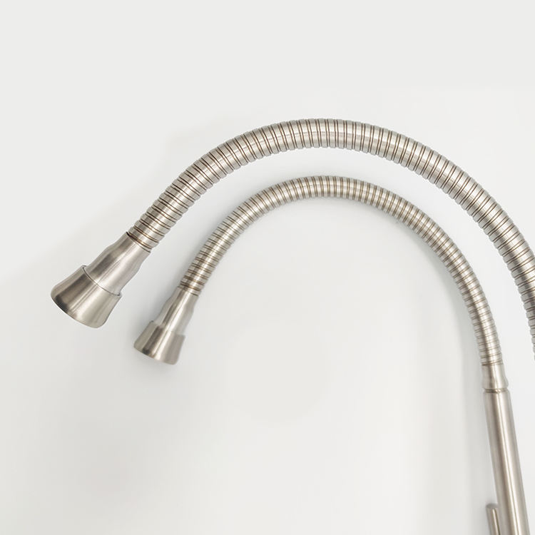 2 hole kitchen faucet