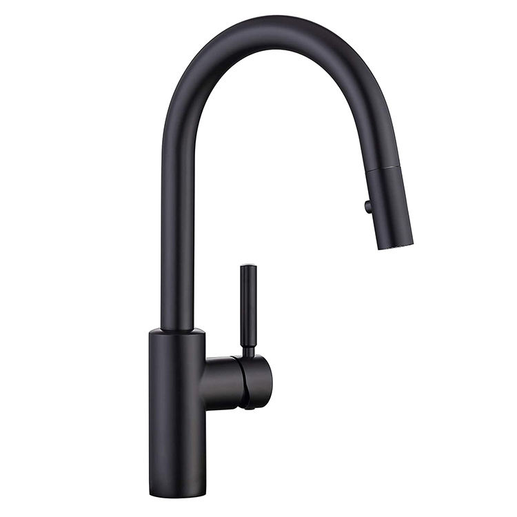 kitchen faucet costco