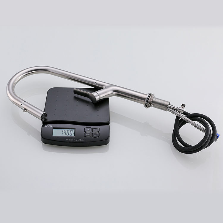 gold pull down kitchen faucet