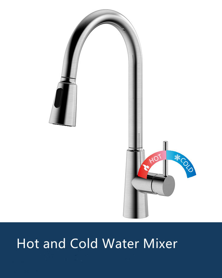 kitchen faucet with detached handle