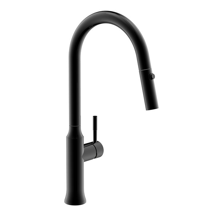 kitchen faucet with pull out sprayer
