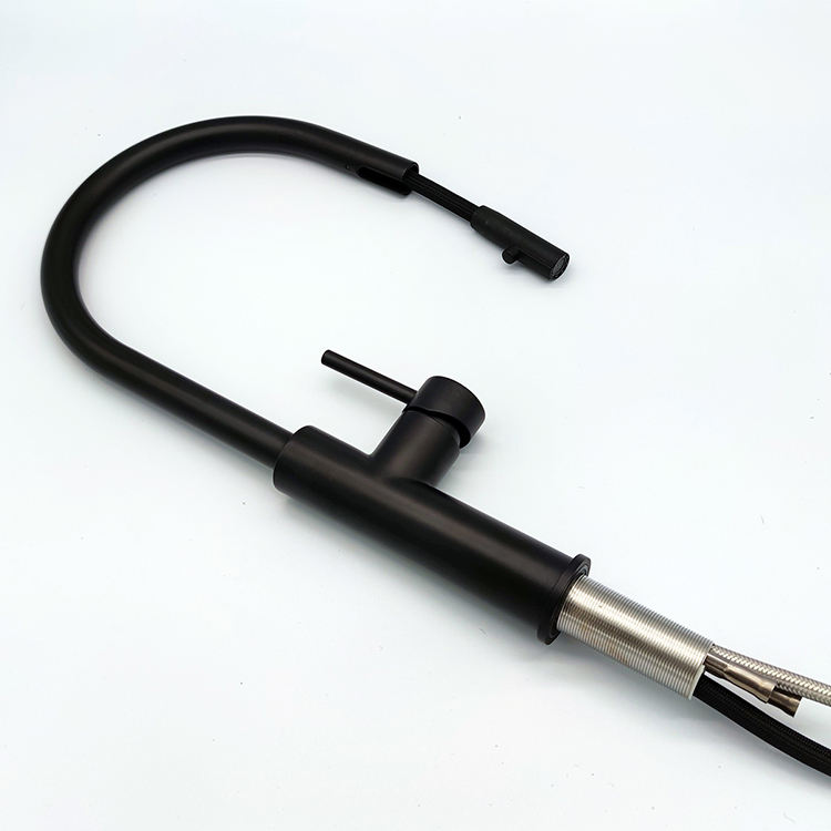 amazon faucet kitchen