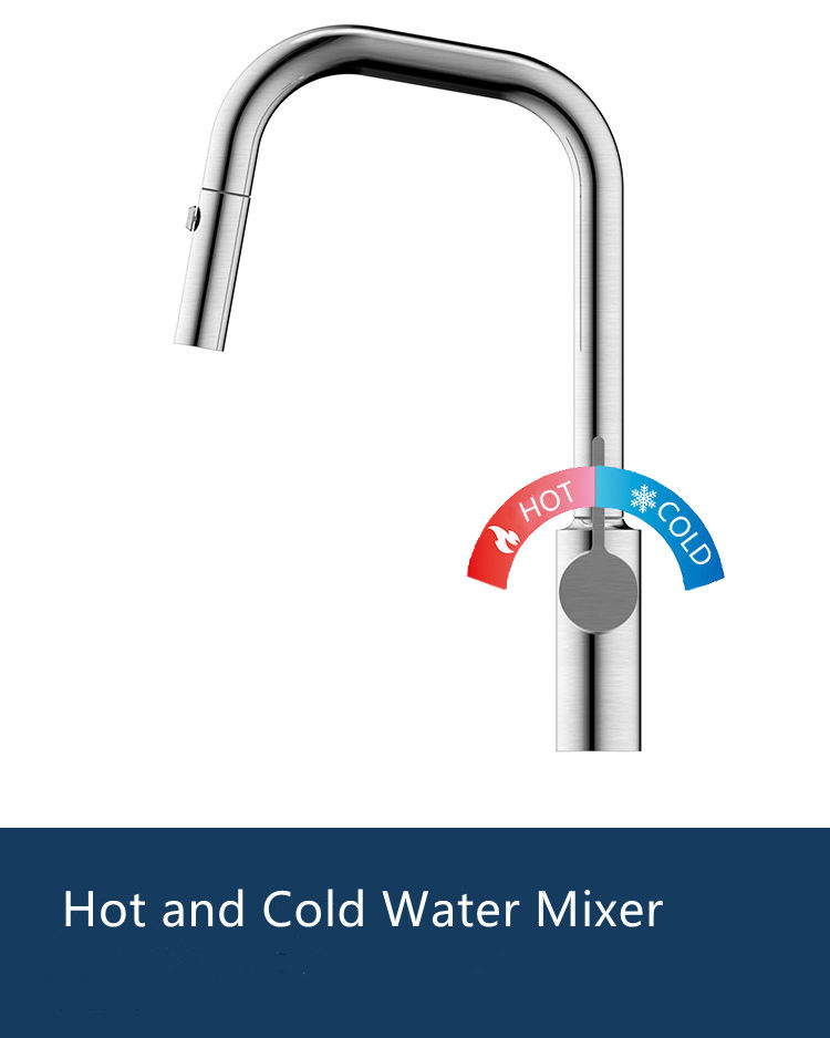 standard kitchen faucet with sprayer