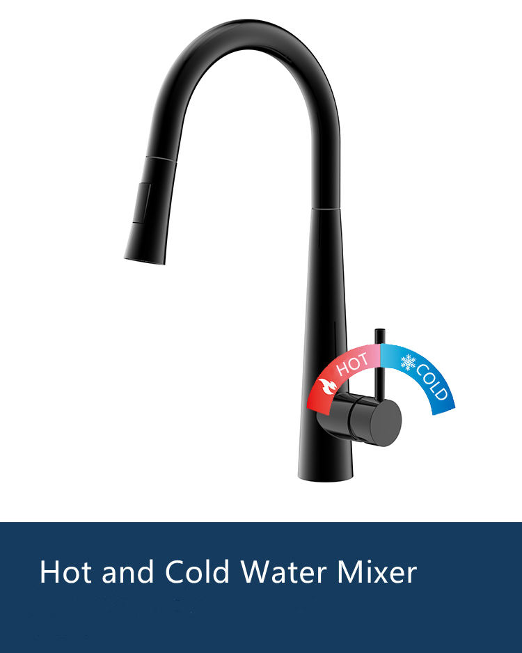 matte black kitchen faucet