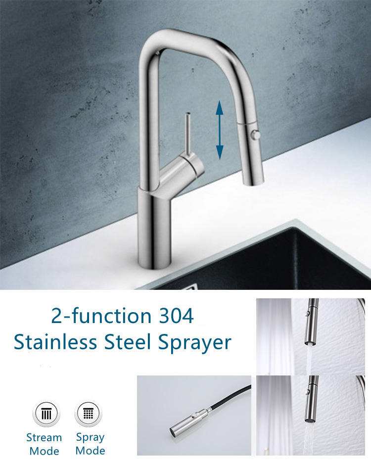 faucet with sprayer