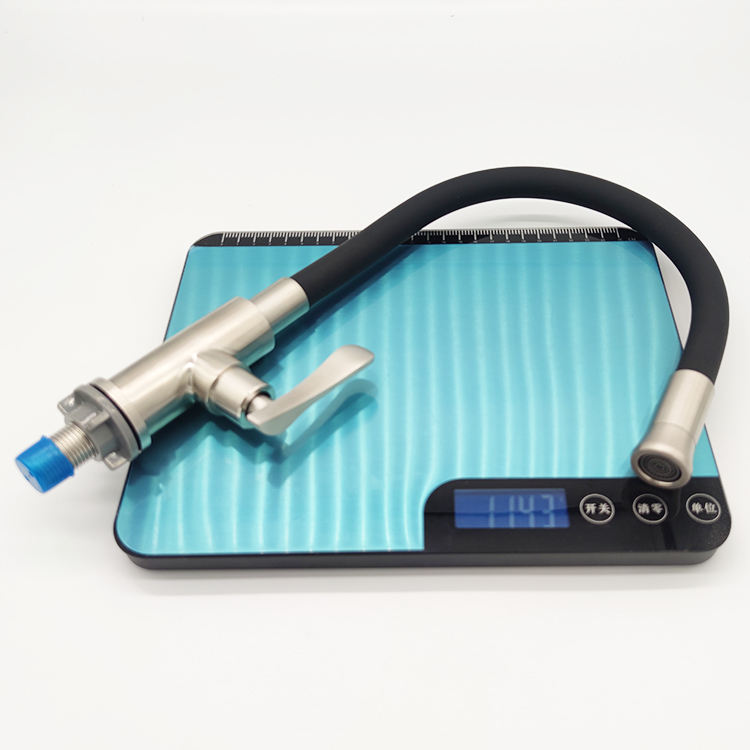 10 spout reach kitchen faucet