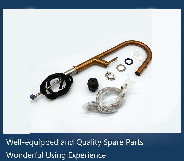 pfister kitchen faucet pull out