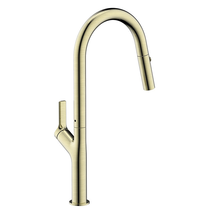 gold kitchen faucet pull down
