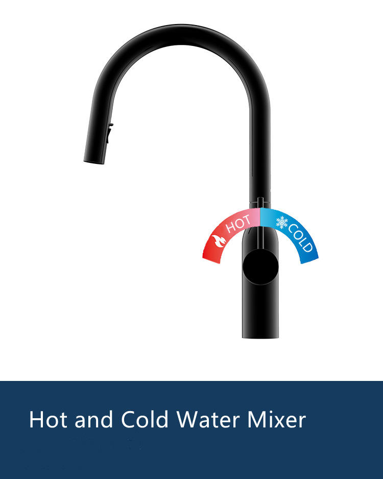 single handle kitchen faucet with sprayer