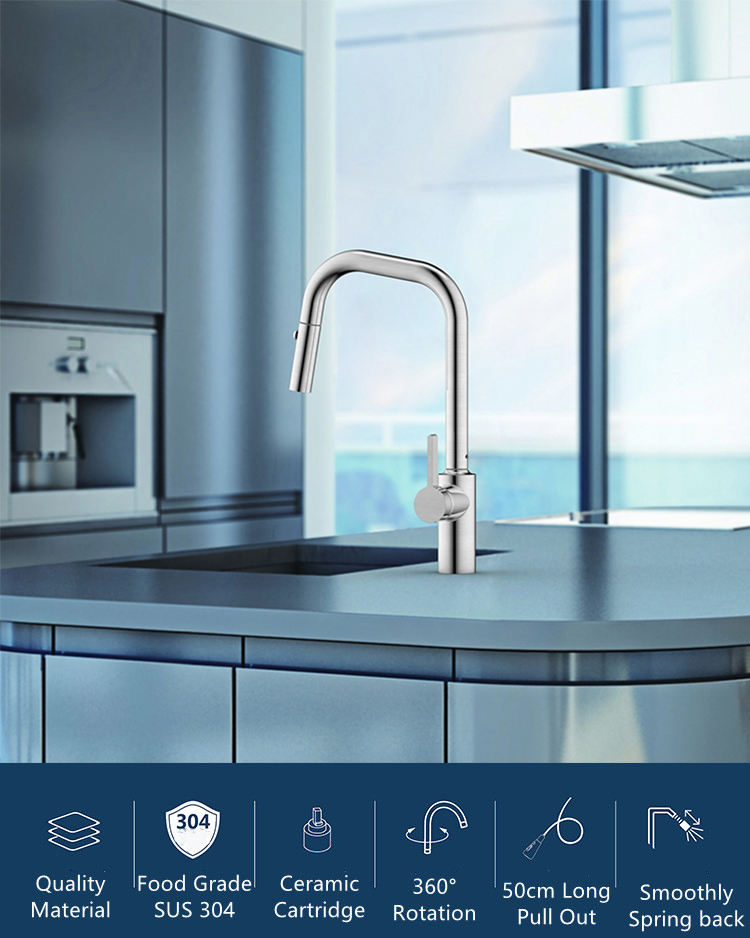 stainless steel pull down kitchen faucet