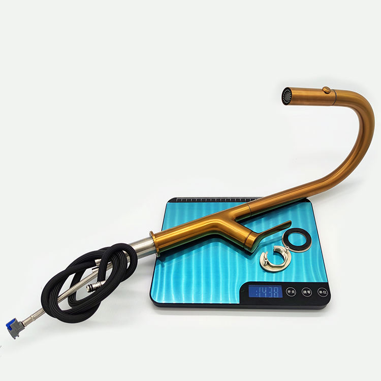 pfister kitchen faucet spray head