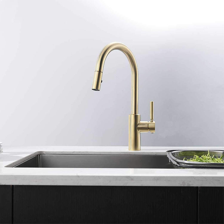 black kitchen faucet
