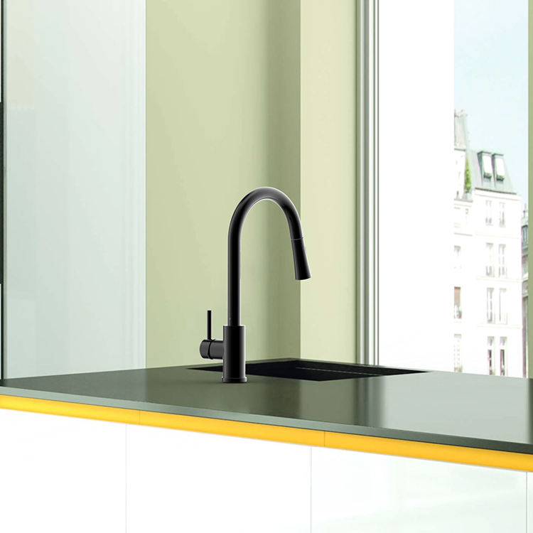 kitchen faucet pull down sprayer