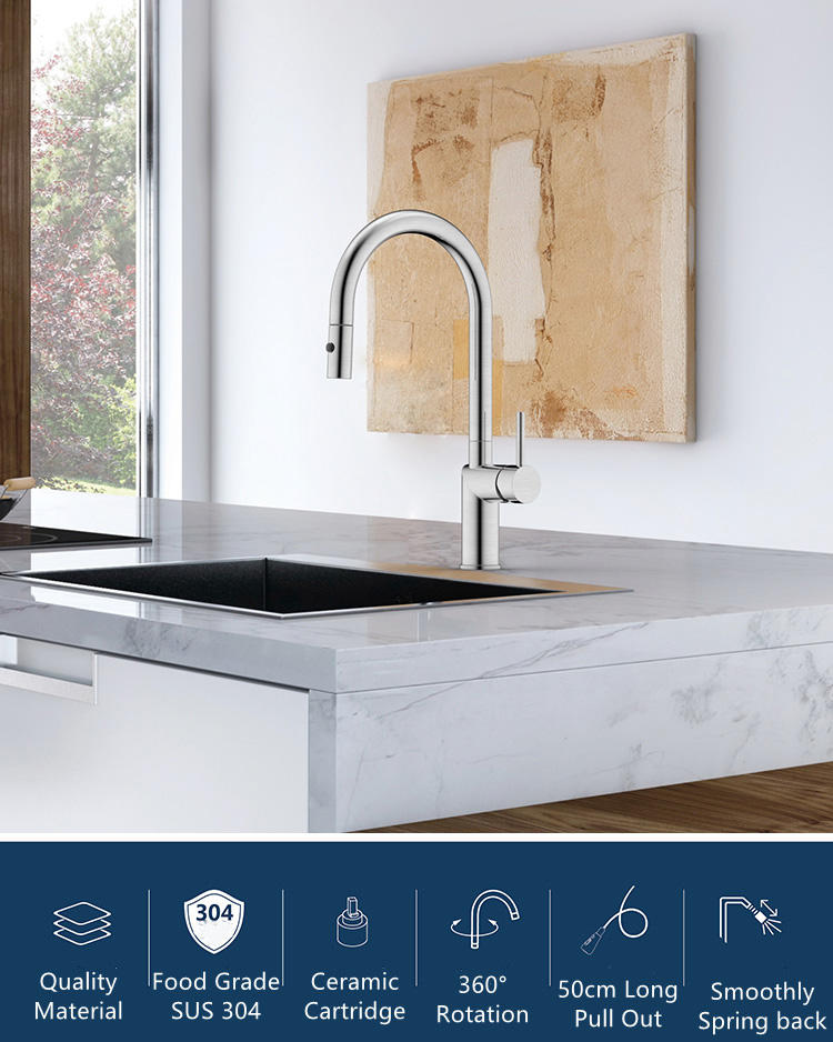 kitchen faucet stainless