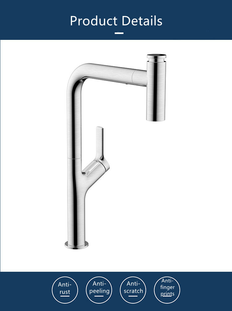 2 handle kitchen faucet with pull out sprayer