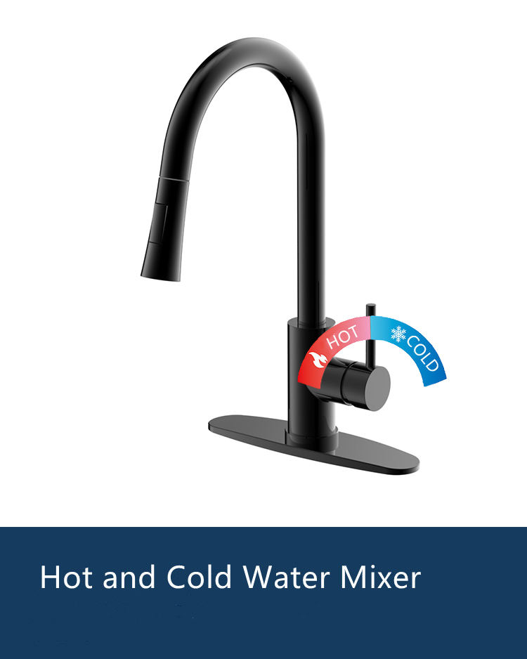 kitchen faucet side spray