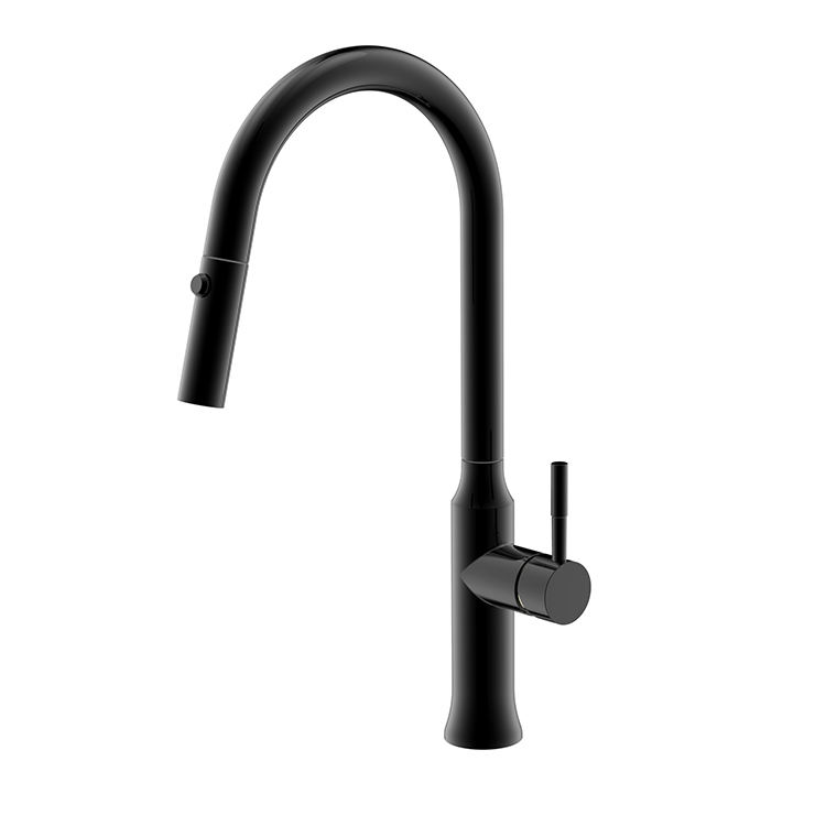 kitchen faucet single handle pull out sprayer