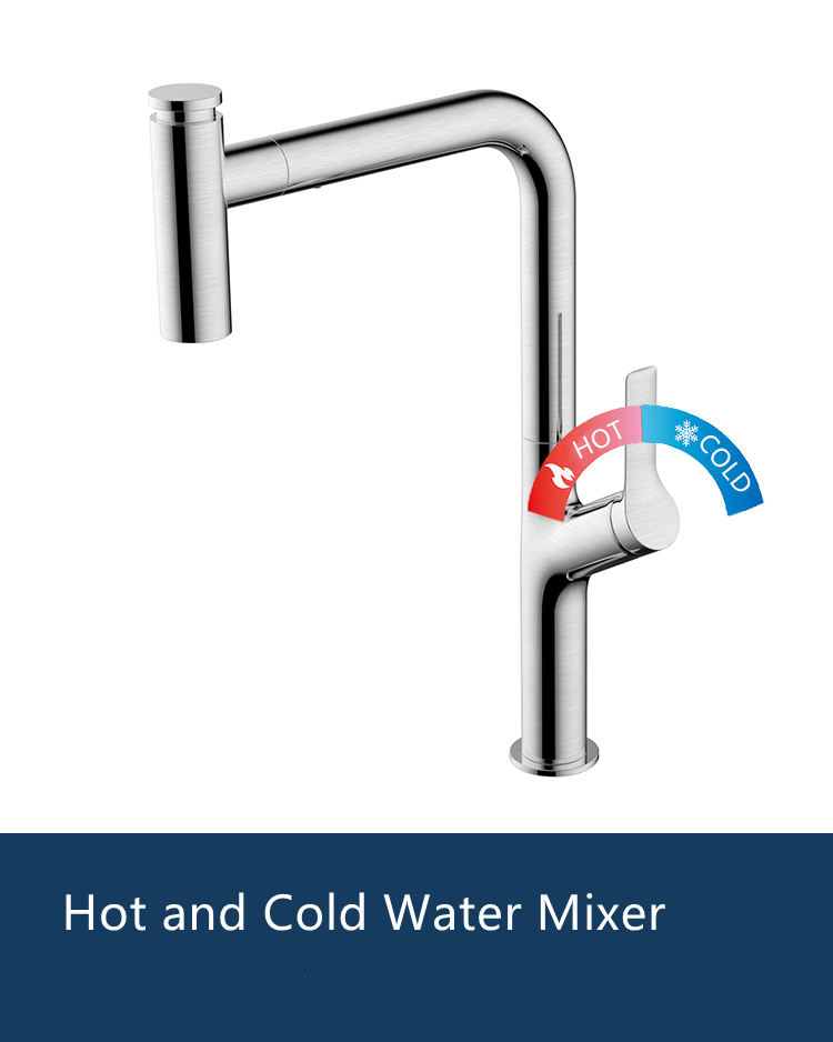 2 handle pull down kitchen faucet